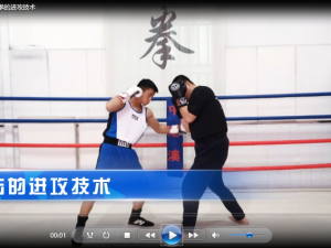 拳击教练班在线学习专栏