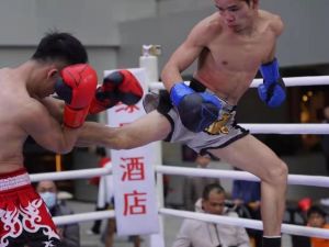 自由搏击教练培训课程